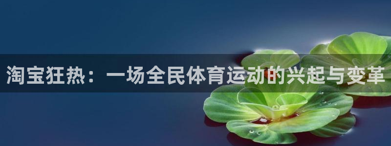 淘宝狂热：一场全民体育运动的兴起与变革