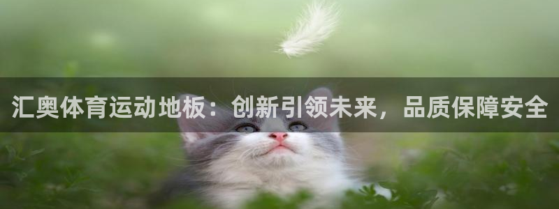 汇奥体育运动地板：创新引领未来，品质保障安全