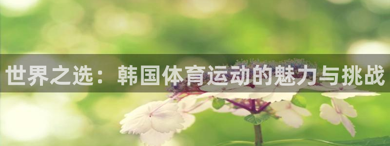 世界之选：韩国体育运动的魅力与挑战