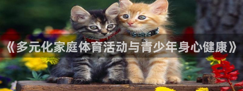 《多元化家庭体育活动与青少年身心健康》