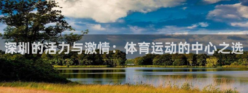 深圳的活力与激情：体育运动的中心之选