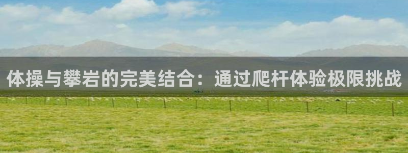 体操与攀岩的完美结合：通过爬杆体验极限挑战
